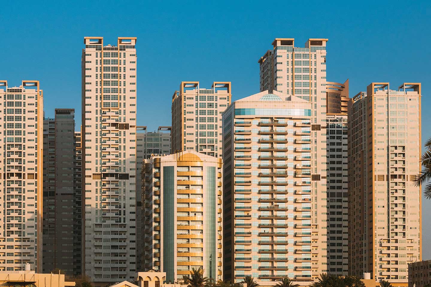 Elegant high-rise apartment