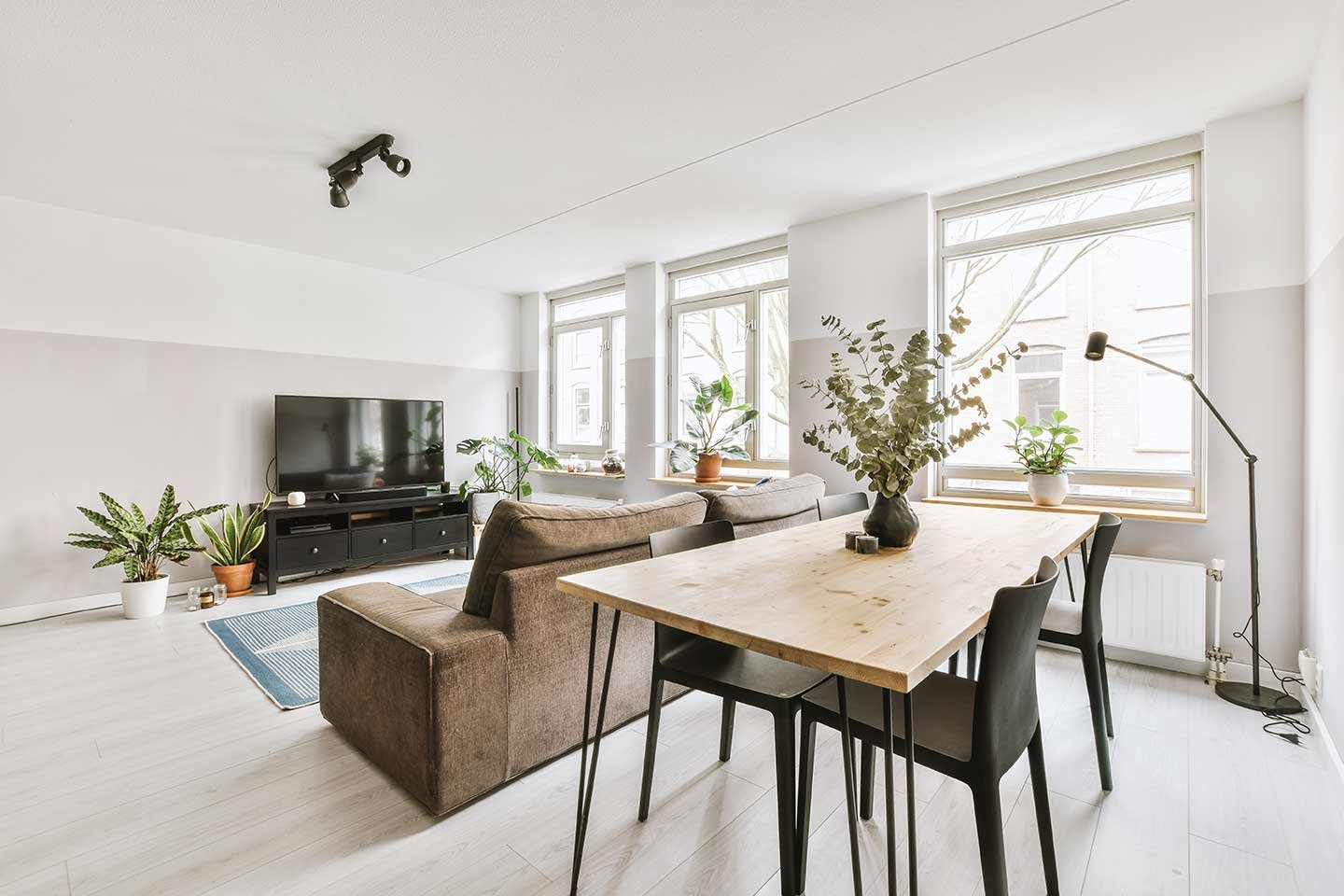 Loft conversion apartment